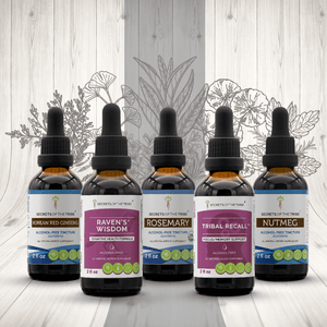 Secrets Of The Tribe Tribal Set for Cognitive Support buy online 