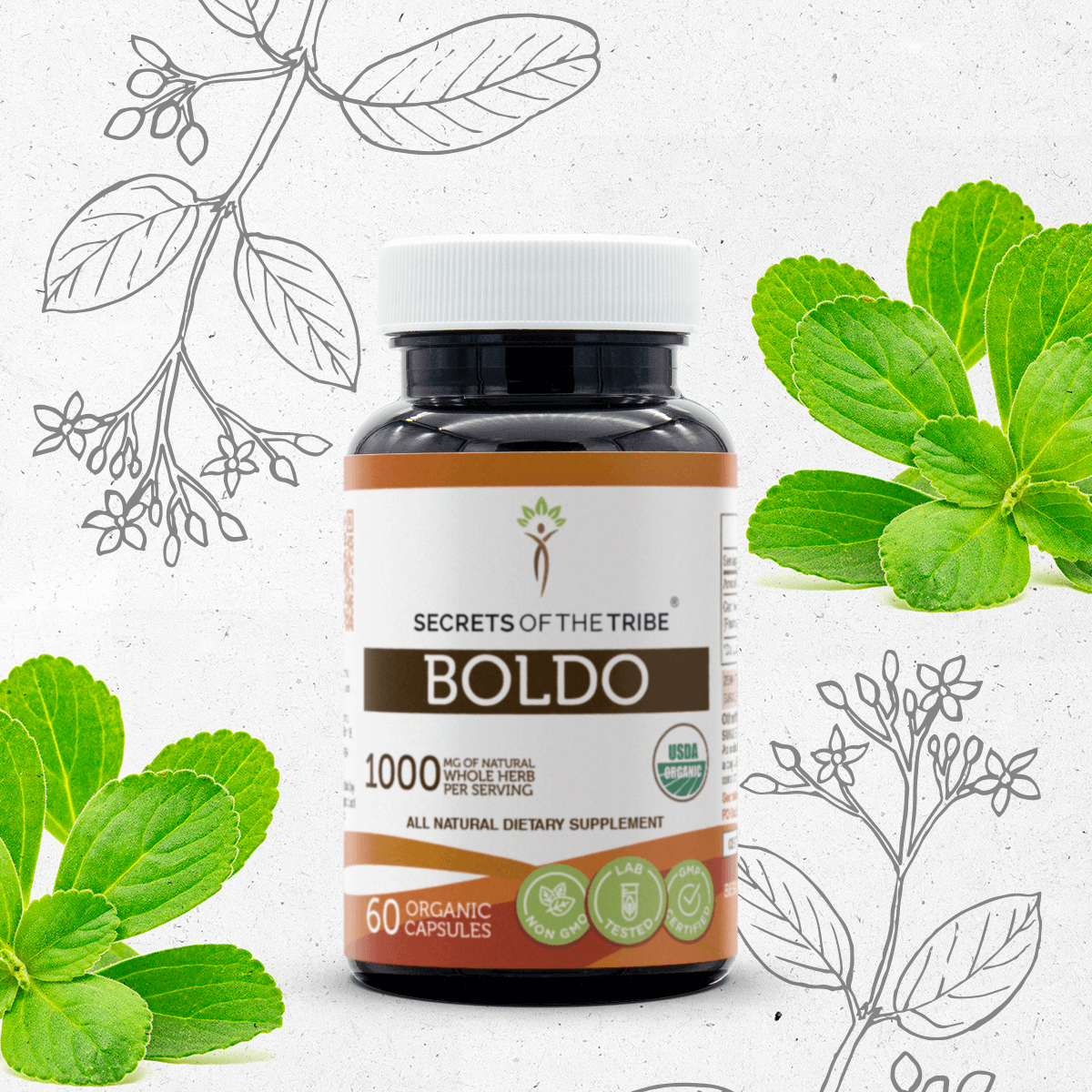 Boldo Capsules