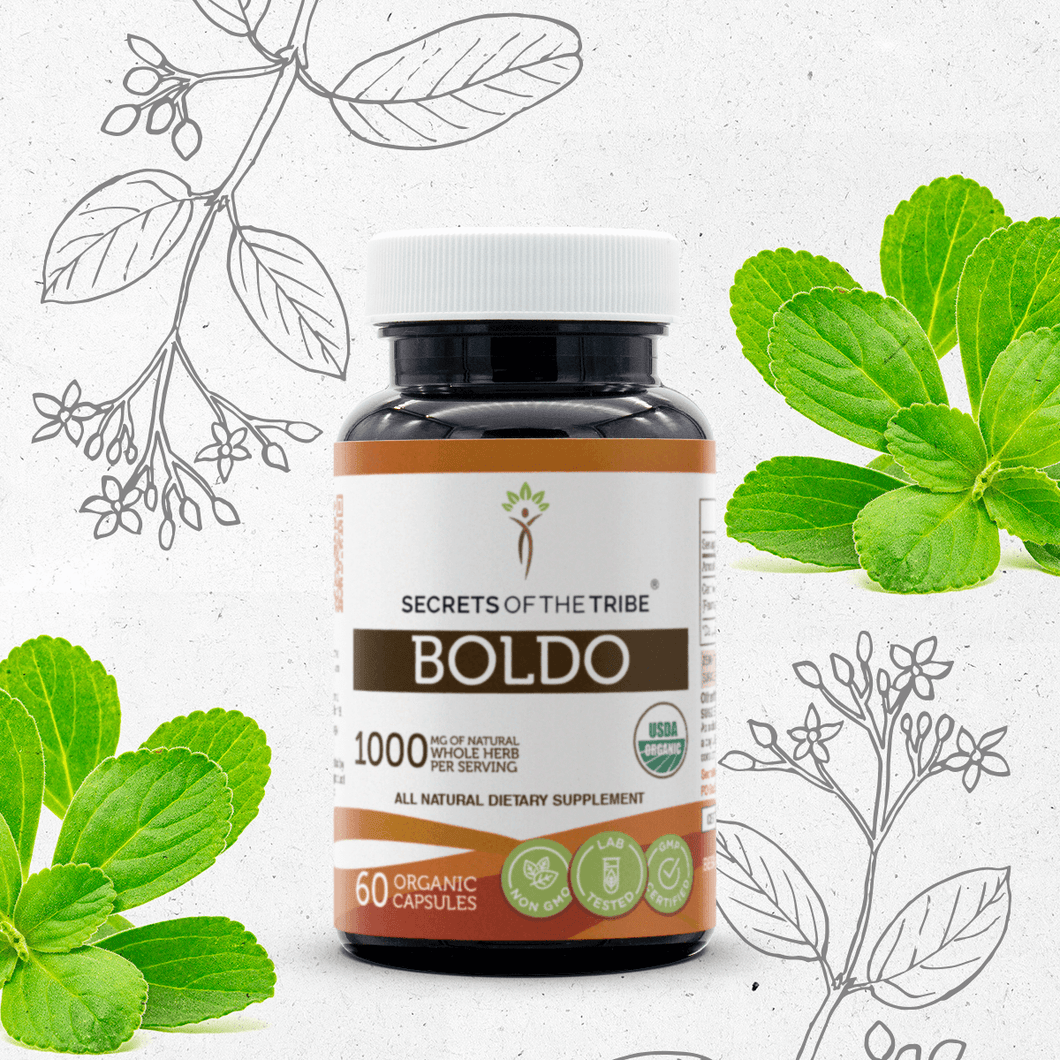 Secrets Of The Tribe Boldo Capsules buy online 