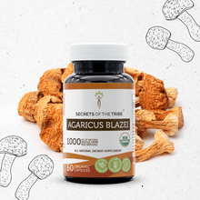 Load image into Gallery viewer, Secrets Of The Tribe Agaricus Blazei Capsules buy online 