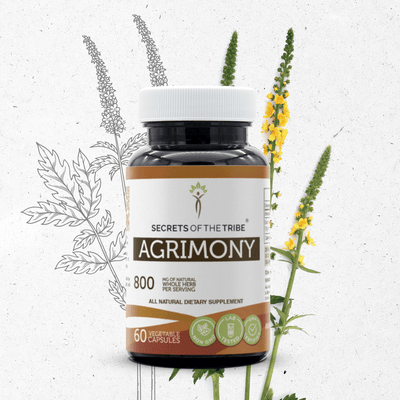 Buy Agrimony Capsules online - Secrets Of The Tribe 