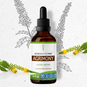 Secrets Of The Tribe Agrimony Tincture buy online 