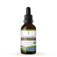 Load image into Gallery viewer, Secrets Of The Tribe Bugleweed Tincture buy online 
