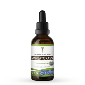Secrets Of The Tribe Wheatgrass Tincture buy online 
