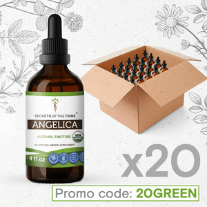 Secrets Of The Tribe Angelica Tincture buy online 