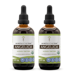 Secrets Of The Tribe Angelica Tincture buy online 
