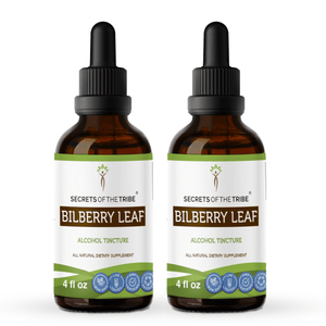 Secrets Of The Tribe Bilberry Leaf Tincture buy online 