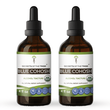 Load image into Gallery viewer, Secrets Of The Tribe Blue Cohosh Tincture buy online 