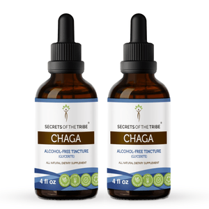 Secrets Of The Tribe Chaga Tincture buy online 