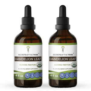 Dandelion Leaf Tincture - Secrets Of The Tribe Dandelion Leaf Tincture Secrets Of The Tribe Tincture