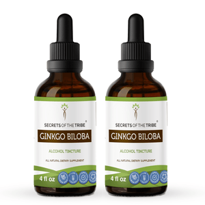 Secrets Of The Tribe Ginkgo Biloba Tincture buy online 