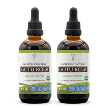 Load image into Gallery viewer, Secrets Of The Tribe Gotu Kola Tincture buy online 