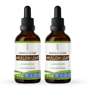 Secrets Of The Tribe Mullein Leaf Tincture buy online 