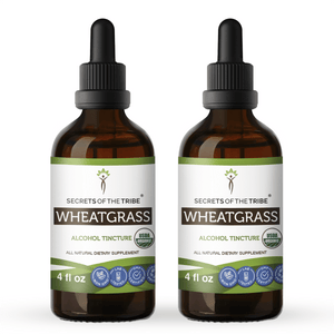 Secrets Of The Tribe Wheatgrass Tincture buy online 