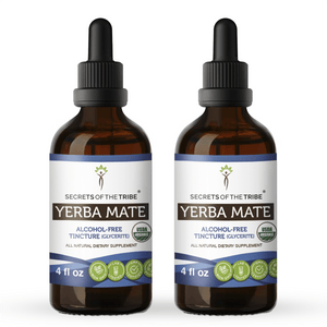 Secrets Of The Tribe Yerba Mate Tincture buy online 