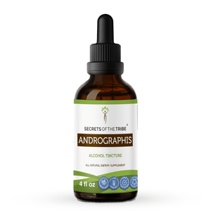 Secrets Of The Tribe Andrographis Tincture buy online 