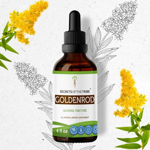 Secrets Of The Tribe Goldenrod Tincture buy online 