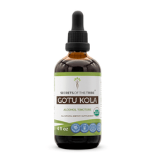 Load image into Gallery viewer, Secrets Of The Tribe Gotu Kola Tincture buy online 