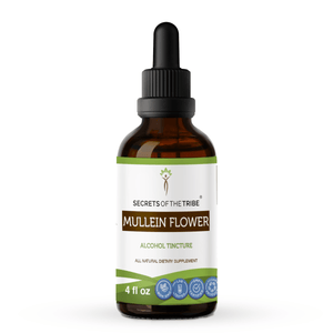 Secrets Of The Tribe Mullein Flower Tincture buy online 