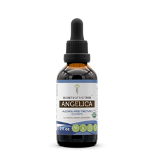 Load image into Gallery viewer, Secrets Of The Tribe Angelica Tincture buy online 