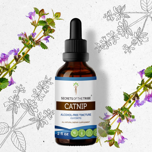 Secrets Of The Tribe Catnip Tincture buy online 