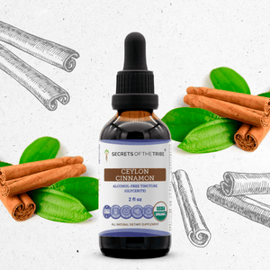 Secrets Of The Tribe Ceylon Cinnamon Tincture buy online 