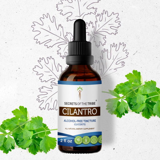 Secrets Of The Tribe Cilantro Tincture buy online 