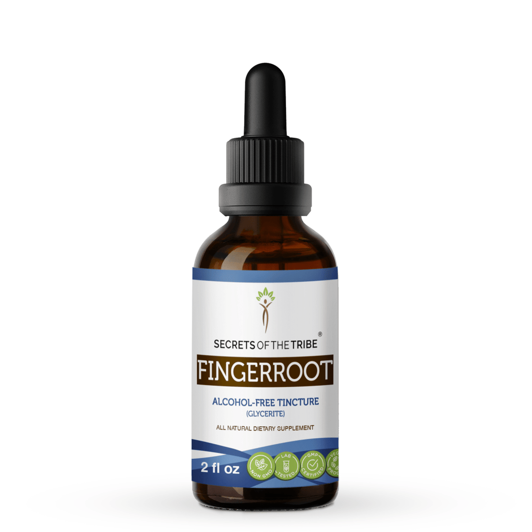 Secrets Of The Tribe Fingerroot Tincture buy online 