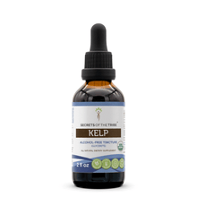 Load image into Gallery viewer, Secrets Of The Tribe Kelp Tincture buy online 