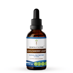 Secrets Of The Tribe Lingonberry Leaf Tincture buy online 