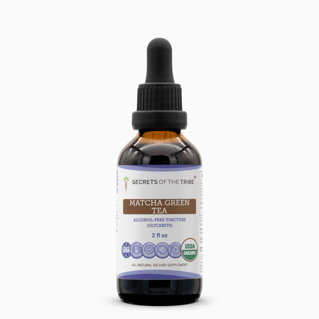 Secrets Of The Tribe Matcha Green Tea Tincture buy online 