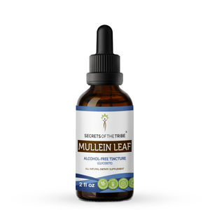 Secrets Of The Tribe Mullein Leaf Tincture buy online 