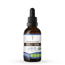 Load image into Gallery viewer, Secrets Of The Tribe Wild Yam Tincture buy online 