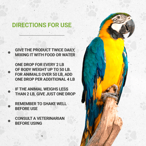 Secrets Of The Tribe Bird's Feathers. Healthy Feathers in Birds buy online 