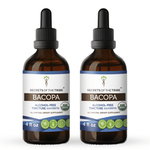 Load image into Gallery viewer, Secrets Of The Tribe Bacopa Tincture buy online 