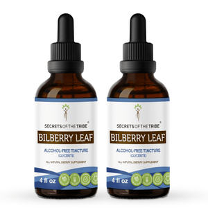 Secrets Of The Tribe Bilberry Leaf Tincture buy online 