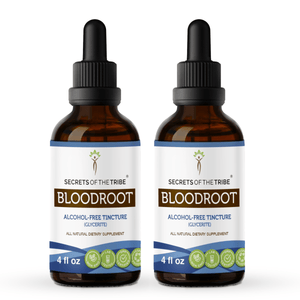 Secrets Of The Tribe Bloodroot Tincture buy online 