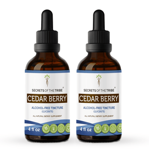 Secrets Of The Tribe Cedar Berry Tincture buy online 