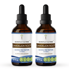 Load image into Gallery viewer, Secrets Of The Tribe Dandelion Root Tincture buy online 