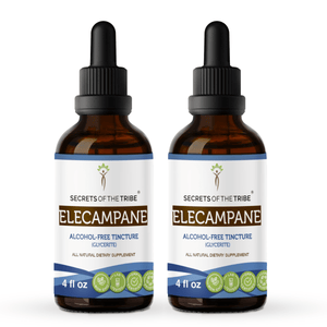 Secrets Of The Tribe Elecampane Tincture buy online 