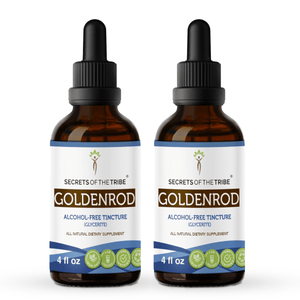 Secrets Of The Tribe Goldenrod Tincture buy online 