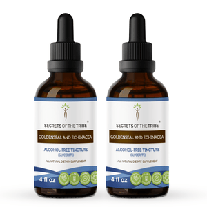 Secrets Of The Tribe Goldenseal and Echinacea Tincture buy online 