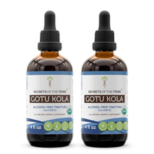 Load image into Gallery viewer, Secrets Of The Tribe Gotu Kola Tincture buy online 