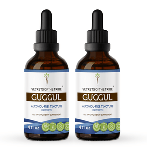 Secrets Of The Tribe Guggul Tincture buy online 