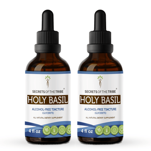 Secrets Of The Tribe Holy Basil Tincture buy online 