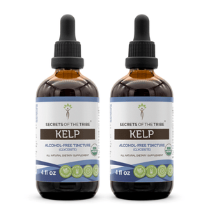 Secrets Of The Tribe Kelp Tincture buy online 