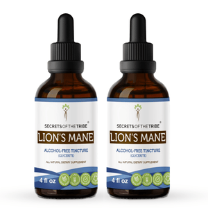 Secrets Of The Tribe Lion's Mane Tincture buy online 