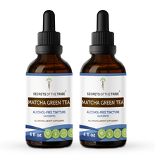 Load image into Gallery viewer, Secrets Of The Tribe Matcha Green Tea Tincture buy online 