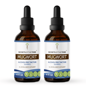 Secrets Of The Tribe Mugwort Tincture buy online 