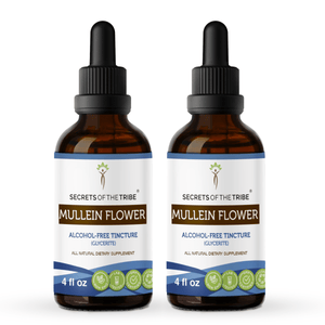 Secrets Of The Tribe Mullein Flower Tincture buy online 